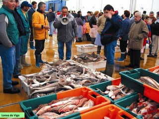 Lonxa de Vigo
 