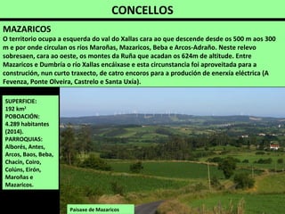 CONCELLOS
SUPERFICIE:
192 km2
POBOACIÓN:
4.289 habitantes
(2014).
PARROQUIAS:
Alborés, Antes,
Arcos, Baos, Beba,
Chacín, Coiro,
Colúns, Eirón,
Maroñas e
Mazaricos.
MAZARICOS
O territorio ocupa a esquerda do val do Xallas cara ao que descende desde os 500 m aos 300
m e por onde circulan os ríos Maroñas, Mazaricos, Beba e Arcos-Adraño. Neste relevo
sobresaen, cara ao oeste, os montes da Ruña que acadan os 624m de altitude. Entre
Mazaricos e Dumbría o río Xallas encáixase e esta circunstancia foi aproveitada para a
construción, nun curto traxecto, de catro encoros para a produción de enerxía eléctrica (A
Fevenza, Ponte Olveira, Castrelo e Santa Uxía).
Paisaxe de Mazaricos
 