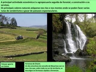 A principal actividade económica é a agropecuaria seguida da forestal, a construción e os
servizos.
Os principais valores naturais atópanse nos ríos e nos montes onde se poden facer varias
rutas de sendeirismo e gozar de paisaxes espectaculares.
Paisaxe agraria
en Colúns
Fervenza de Chacín.
Un dos atractivos do concello de Mazaricos son os
seus ríos que, sobre todo no sur do territorio, se
descolgan en fermosos rápidos e fervenzas.
 