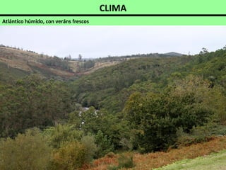 CLIMA
Atlántico húmido, con veráns frescos
 