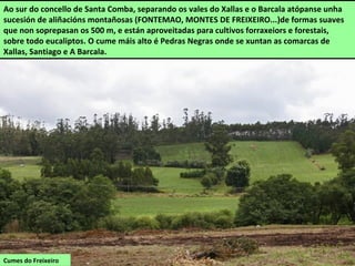Cumes do Freixeiro
Ao sur do concello de Santa Comba, separando os vales do Xallas e o Barcala atópanse unha
sucesión de aliñacións montañosas (FONTEMAO, MONTES DE FREIXEIRO...)de formas suaves
que non soprepasan os 500 m, e están aproveitadas para cultivos forraxeiors e forestais,
sobre todo eucaliptos. O cume máis alto é Pedras Negras onde se xuntan as comarcas de
Xallas, Santiago e A Barcala.
 