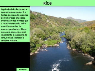 RÍOS
Río Xallas
O principal río da comarca,
do que toma o nome, é o
Xallas, que recolle as augas
de numerosos afluentes
que baixan dos montes que
a rodean formando unha
sucesión de vales de
escasas pendentes. Aínda
que máis pequena, é moi
importante a cabeceira do
Tins, no que sobresae o
afluente Nosiño.
 