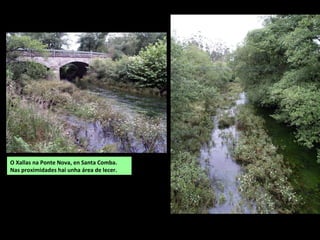 O Xallas na Ponte Nova, en Santa Comba.
Nas proximidades hai unha área de lecer.
 