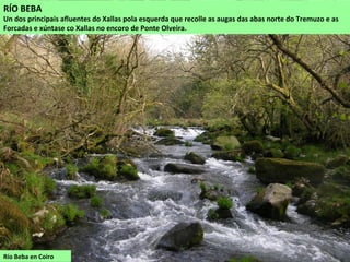 Río Beba en Coiro
RÍO BEBA
Un dos principais afluentes do Xallas pola esquerda que recolle as augas das abas norte do Tremuzo e as
Forcadas e xúntase co Xallas no encoro de Ponte Olveira.
 