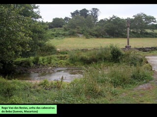 Rego Vao das Bestas, unha das cabeceiras
do Beba (Suevos, Mazaricos)
 