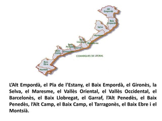 L’Alt Empordà, el Pla de l’Estany, el Baix Empordà, el Gironès, la
Selva, el Maresme, el Vallès Oriental, el Vallès Occidental, el
Barcelonès, el Baix Llobregat, el Garraf, l’Alt Penedès, el Baix
Penedès, l’Alt Camp, el Baix Camp, el Tarragonès, el Baix Ebre i el
Montsià.
 