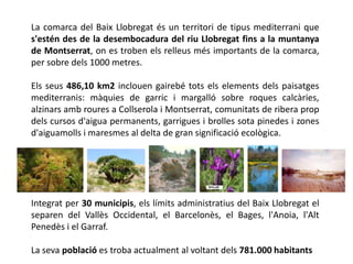 La comarca del Baix Llobregat és un territori de tipus mediterrani que
s'estén des de la desembocadura del riu Llobregat fins a la muntanya
de Montserrat, on es troben els relleus més importants de la comarca,
per sobre dels 1000 metres.

Els seus 486,10 km2 inclouen gairebé tots els elements dels paisatges
mediterranis: màquies de garric i margalló sobre roques calcàries,
alzinars amb roures a Collserola i Montserrat, comunitats de ribera prop
dels cursos d'aigua permanents, garrigues i brolles sota pinedes i zones
d'aiguamolls i maresmes al delta de gran significació ecològica.




Integrat per 30 municipis, els límits administratius del Baix Llobregat el
separen del Vallès Occidental, el Barcelonès, el Bages, l'Anoia, l'Alt
Penedès i el Garraf.

La seva població es troba actualment al voltant dels 781.000 habitants
 