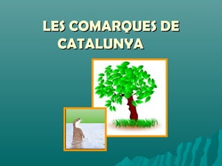 LES COMARQUES DE
CATALUNYA

 