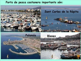 Comarques de litoral
