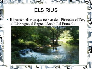 ELS RIUS
●   Hi passen els rius que neixen dels Pirineus: el Ter,
    el Llobregat, el Segre, l'Anoia I el Francolí.
 