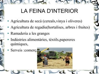 LA FEINA D'INTERIOR
●   Agricultura de secà (cereals,vinya i oliveres)
●   Agricultura de regadiu(hortalises, arbres i fruites)
●   Ramaderia a les granges
●   Indústries alimentàries, tèxtils,papereres
    químiques,
●   Serveis :comerç, l'educació I sanitat
 