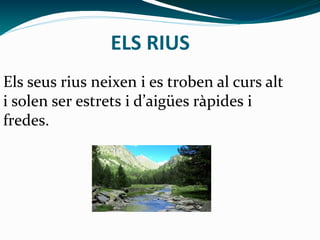 ELS RIUS
Els seus rius neixen i es troben al curs alt
i solen ser estrets i d’aigües ràpides i
fredes.
 