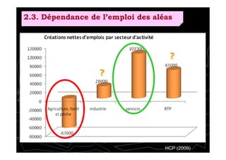 2.3. Dépendance de l’emploi des aléas
?
?
HCP (2009)
 
