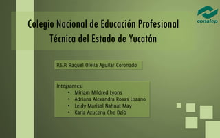 Colegio Nacional de Educación Profesional
Técnica del Estado de Yucatán
•
•
•
•
 