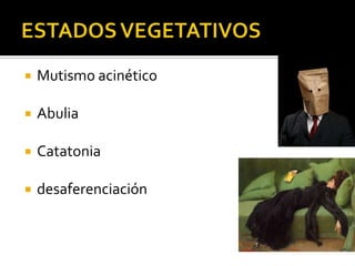 ESTADOS VEGETATIVOSMutismo acinéticoAbuliaCatatoniadesaferenciación