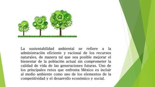 La sustentabilidad ambiental se refiere a la
administración eficiente y racional de los recursos
naturales, de manera tal que sea posible mejorar el
bienestar de la población actual sin comprometer la
calidad de vida de las generaciones futuras. Uno de
los principales retos que enfrenta México es incluir
al medio ambiente como uno de los elementos de la
competitividad y el desarrollo económico y social.
 