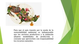 Para que el país transite por la senda de la
sustentabilidad ambiental es indispensable
que los sectores productivos y la población
adopten modalidades de producción y
consumo que aprovechen con responsabilidad
los recursos naturales.
 