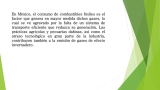 En México, el consumo de combustibles fósiles es el
factor que genera en mayor medida dichos gases, lo
cual se ve agravado por la falta de un sistema de
transporte eficiente que reduzca su generación. Las
prácticas agrícolas y pecuarias dañinas, así como el
atraso tecnológico en gran parte de la industria,
contribuyen también a la emisión de gases de efecto
invernadero.
 