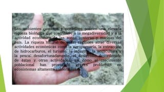 Los ambientes costeros y oceánicos poseen una elevada
riqueza biológica que contribuye a la megadiversidad y a la
actividad económica de las zonas costeras y marinas del
país. La riqueza natural de estas regiones atrae diversas
actividades económicas como la agropecuaria, la extracción
de hidrocarburos, el turismo, la industria, la acuacultura y
la pesca; desafortunadamente, el desarrollo desordenado
de éstas y otras actividades, así como el crecimiento
poblacional han provocado graves problemas en
ecosistemas altamente vulnerables.
 