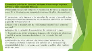 Los efectos globales del deterioro ambiental traen consigo impactos
adversos, entre los cuales destacan:
i) modificación espacial, temporal y cuantitativa de lluvias y sequías, así
como de la distribución de escurrimientos superficiales e inundaciones
ii) incremento en la frecuencia de incendios forestales e intensificación
de los procesos de deforestación, mayor erosión, liberación de carbono
y pérdida de biodiversidad
iii) reducción o desaparición de ecosistemas forestales del territorio
nacional
iv) reducción o extinción de poblaciones de especies silvestres
v) disminución de zonas aptas para la producción primaria de alimentos
y modificación de la productividad agrícola, pecuaria, forestal y
pesquera
vi) elevación del nivel del mar y la consecuente modificación de
ecosistemas costeros y marinos, con cambios en la distribución y
disponibilidad de los recursos pesqueros más sensibles a los cambios
de temperatura
 