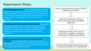 Plants-Screening experiments:-This experiment aimed to acquire
plants which are capable of effective-removing binary mixture of
benzene (0.26 mg· m-3) and toluene (0.3 mg· m-3). Allowing for
vast amounts of species of plants, only one individual for every
species of plants was fumigated in the initial screening
experiment.
Fumigating-experiments at gradient concentrations:- The gradient
concentrations (Table 1.) were set up to investigate optimum
concentrations of benzene and toluene for phytoremediation
application. The plants were chosen from those plants with
relatively high removal efficiency from plants-screening
experiment.
Evaluating-experiments for new lines of Chrysanthemum
morifolium:- It is one object in the experiments to evaluate
removal performance of new lines of Chrysanthemum morifolium
at the optimum concentrations of benzene and toluene acquired
in the experiments mentioned above.
Experiment Steps
 