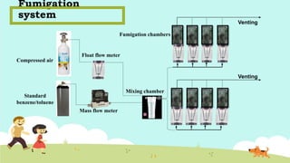 Fumigation
system
Standard
benzene/toluene
Compressed air
Mass flow meter
Float flow meter
Fumigation chambers
Mixing chamber
Venting
Venting
 