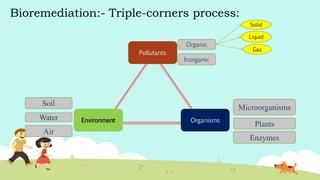 Bioremediation:- Triple-corners process:
Organisms
Pollutants
Environment
Microorganisms
Plants
Enzymes
Soil
Water
Air
Organic
Inorganic
Solid
Liquid
Gas
 