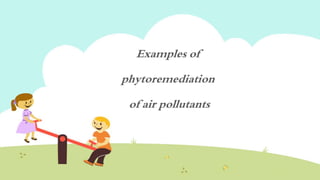 Examples of
phytoremediation
of air pollutants
 