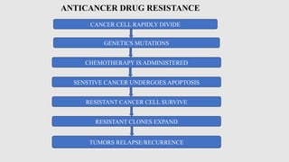 ANTICANCER DRUG RESISTANCE
CANCER CELL RAPIDLY DIVIDE
GENETICS MUTATIONS
CHEMOTHERAPY IS ADMINISTERED
SENSTIVE CANCER UNDERGOES APOPTOSIS
RESISTANT CANCER CELL SURVIVE
RESISTANT CLONES EXPAND
TUMORS RELAPSE/RECURRENCE
 