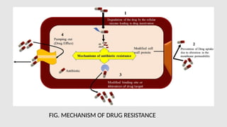 FIG. MECHANISM OF DRUG RESISTANCE
 