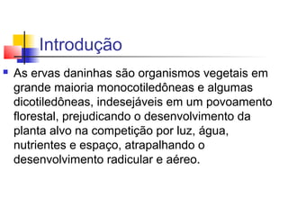 Introdução 
 As ervas daninhas são organismos vegetais em 
grande maioria monocotiledôneas e algumas 
dicotiledôneas, indesejáveis em um povoamento 
florestal, prejudicando o desenvolvimento da 
planta alvo na competição por luz, água, 
nutrientes e espaço, atrapalhando o 
desenvolvimento radicular e aéreo. 
 