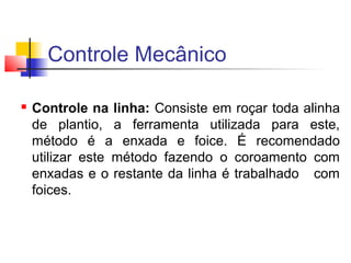 Controle Mecânico 
 Controle na linha: Consiste em roçar toda alinha 
de plantio, a ferramenta utilizada para este, 
método é a enxada e foice. É recomendado 
utilizar este método fazendo o coroamento com 
enxadas e o restante da linha é trabalhado com 
foices. 
 