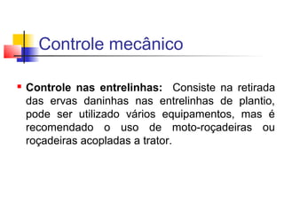 Controle mecânico 
 Controle nas entrelinhas: Consiste na retirada 
das ervas daninhas nas entrelinhas de plantio, 
pode ser utilizado vários equipamentos, mas é 
recomendado o uso de moto-roçadeiras ou 
roçadeiras acopladas a trator. 
 
