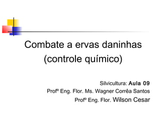 Combate a ervas daninhas 
(controle químico) 
Silvicultura: Aula 09 
Profº Eng. Flor. Ms. Wagner Corrêa Santos 
Profº Eng. Flor. Wilson Cesar 
 