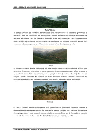 MCIF – COMBATE A INCÊNDIOS FLORESTAIS 7
COLETÂNEA DE MANUAIS TÉCNICOS DE BOMBEIROS
Mata Atlântica
2) campo: unidade de vegetação caracterizada pela predominância da cobertura graminóide e
herbácea. Pode ser classificada em dois subtipos: campos de altitude ou serranos encontrados na
Serra da Mantiqueira com sua vegetação assentada sobre solos rochosos e campos propriamente
ditos, também denominados campos limpos, caracterizados por grandes extensões planas com
árvores ou arbustos esparsos, condicionados às características climáticas ou do solo;
Campo
3) cerrado: formação vegetal constituída por dois extratos: superior, com arbustos e árvores que
raramente ultrapassam seis metros de altura, recobertos de espessas cascas, com folhas coriáceas e
apresentando caules tortuosos; e inferior, com vegetação rasteira (herbácea arbustiva). Os cerrados
abrigam grande variedade de espécies da fauna brasileira, inclusive algumas ameaçadas de
extinção, como: lobo-guará, tamanduá-bandeira, tatu-canastra, inhambu-carapé, entre outras;
Cerrado
4) campo cerrado: vegetação campestre, com predomínio de gramíneas pequenas, árvores e
arbustos bastante esparsos entre si. Pode tratar-se de fase de transição entre campo e demais tipos
de vegetação ou às vezes resultante da degradação do cerrado. Esse tipo de formação se ressente
com a estação seca e acaba sendo alvo de incêndios anuais, até mesmo, espontâneos;
 