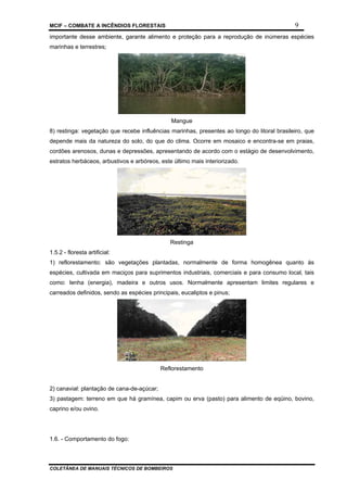 MCIF – COMBATE A INCÊNDIOS FLORESTAIS 9
COLETÂNEA DE MANUAIS TÉCNICOS DE BOMBEIROS
importante desse ambiente, garante alimento e proteção para a reprodução de inúmeras espécies
marinhas e terrestres;
Mangue
8) restinga: vegetação que recebe influências marinhas, presentes ao longo do litoral brasileiro, que
depende mais da natureza do solo, do que do clima. Ocorre em mosaico e encontra-se em praias,
cordões arenosos, dunas e depressões, apresentando de acordo com o estágio de desenvolvimento,
estratos herbáceos, arbustivos e arbóreos, este último mais interiorizado.
Restinga
1.5.2 - floresta artificial:
1) reflorestamento: são vegetações plantadas, normalmente de forma homogênea quanto às
espécies, cultivada em maciços para suprimentos industriais, comerciais e para consumo local, tais
como: lenha (energia), madeira e outros usos. Normalmente apresentam limites regulares e
carreados definidos, sendo as espécies principais, eucaliptos e pinus;
Reflorestamento
2) canavial: plantação de cana-de-açúcar;
3) pastagem: terreno em que há gramínea, capim ou erva (pasto) para alimento de eqüino, bovino,
caprino e/ou ovino.
1.6. - Comportamento do fogo:
 