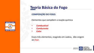 COMPOSIÇÃO DO FOGO:
Elementos que compõem a reação química
• Combustível
• Comburente
• Calor
Esses três elementos, reagindo em cadeia, dão origem
ao fogo.
Teoria Básica do Fogo
 
