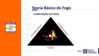 COMPOSIÇÃO DO FOGO:
Calor
Teoria Básica do Fogo
 