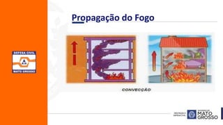 Propagação do Fogo
 