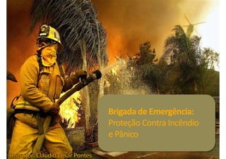 Brigada de Emergência:
ProteçãoContra Incêndio
e Pânico
 