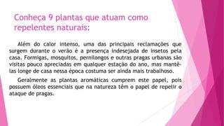 Conheça 9 plantas que atuam como
repelentes naturais:
Além do calor intenso, uma das principais reclamações que
surgem durante o verão é a presença indesejada de insetos pela
casa. Formigas, mosquitos, pernilongos e outras pragas urbanas são
visitas pouco apreciadas em qualquer estação do ano, mas mantê-
las longe de casa nessa época costuma ser ainda mais trabalhoso.
Geralmente as plantas aromáticas cumprem este papel, pois
possuem óleos essenciais que na natureza têm o papel de repelir o
ataque de pragas.
 