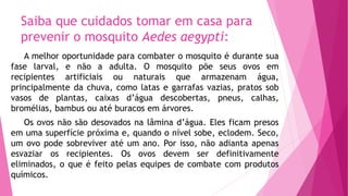Saiba que cuidados tomar em casa para
prevenir o mosquito Aedes aegypti:
A melhor oportunidade para combater o mosquito é durante sua
fase larval, e não a adulta. O mosquito põe seus ovos em
recipientes artificiais ou naturais que armazenam água,
principalmente da chuva, como latas e garrafas vazias, pratos sob
vasos de plantas, caixas d’água descobertas, pneus, calhas,
bromélias, bambus ou até buracos em árvores.
Os ovos não são desovados na lâmina d’água. Eles ficam presos
em uma superfície próxima e, quando o nível sobe, eclodem. Seco,
um ovo pode sobreviver até um ano. Por isso, não adianta apenas
esvaziar os recipientes. Os ovos devem ser definitivamente
eliminados, o que é feito pelas equipes de combate com produtos
químicos.
 