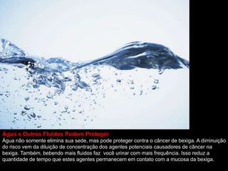 Água e Outros Fluidos Podem Proteger
Água não somente elimina sua sede, mas pode proteger contra o câncer de bexiga. A diminuição
do risco vem da diluição de concentração dos agentes potenciais causadores de câncer na
bexiga. Também, bebendo mais fluidos faz você urinar com mais frequência. Isso reduz a
quantidade de tempo que estes agentes permanecem em contato com a mucosa da bexiga.
 