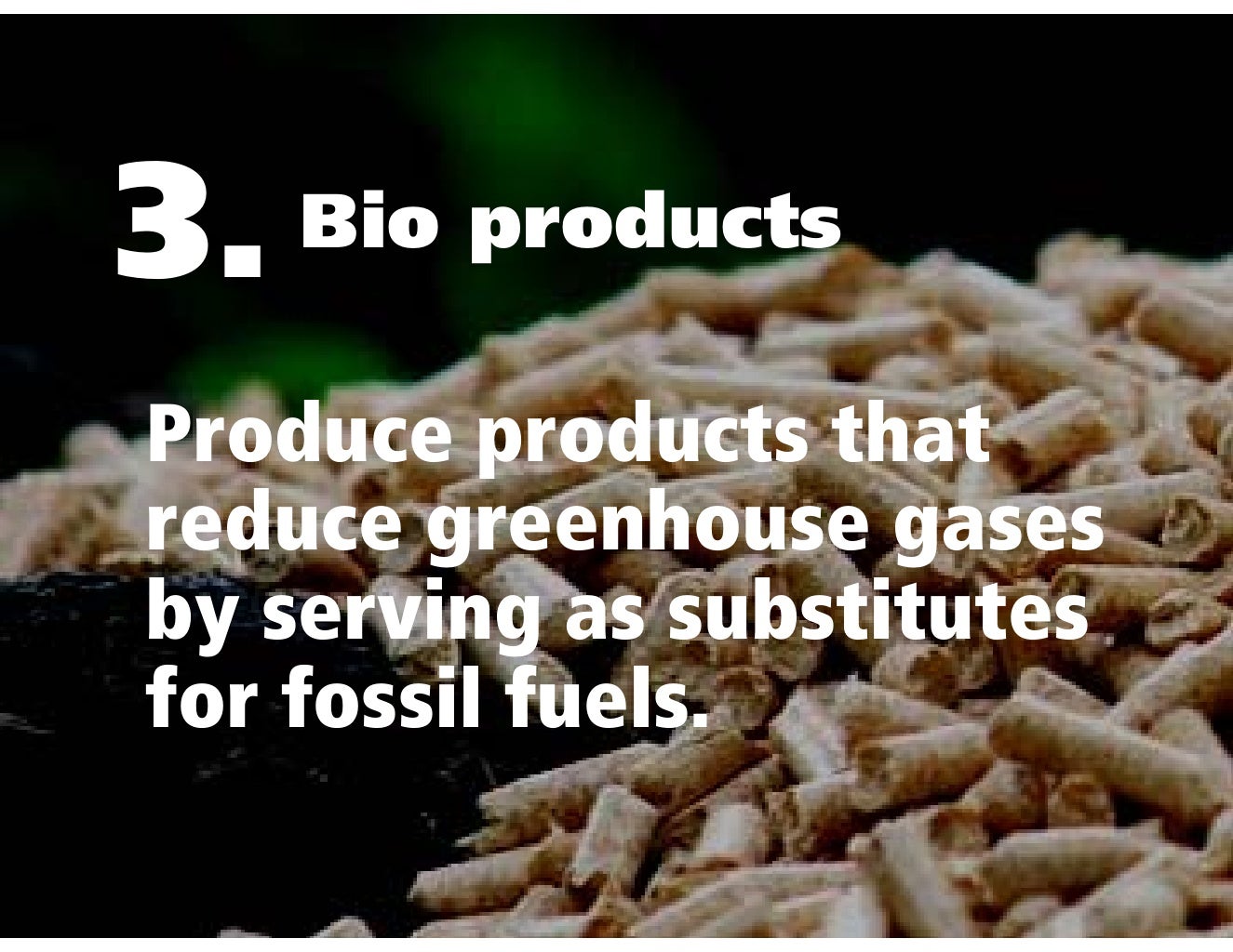 3. Bio products Produce products