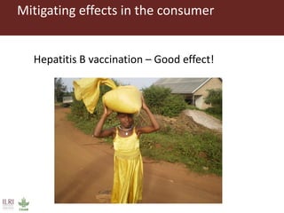 Combating aflatoxins: Can we win the war?