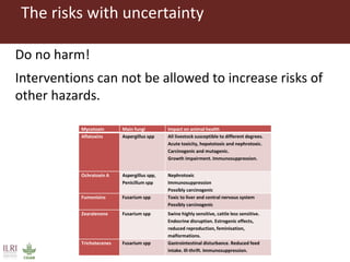 Combating aflatoxins: Can we win the war?