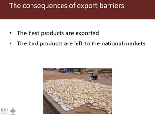 Combating aflatoxins: Can we win the war?