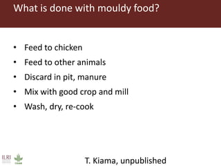 Combating aflatoxins: Can we win the war?