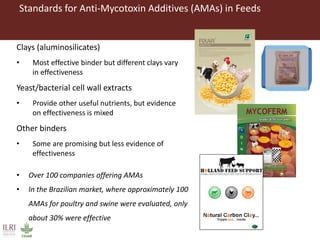 Combating aflatoxins: Can we win the war?