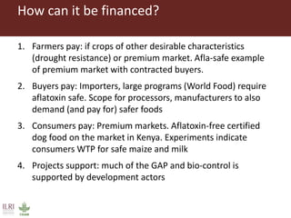 Combating aflatoxins: Can we win the war?